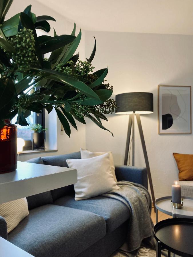 Schickes, Stilvolles Und Helles Apartment In Muenster Екстериор снимка